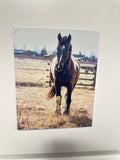 Horse Picture on Metal