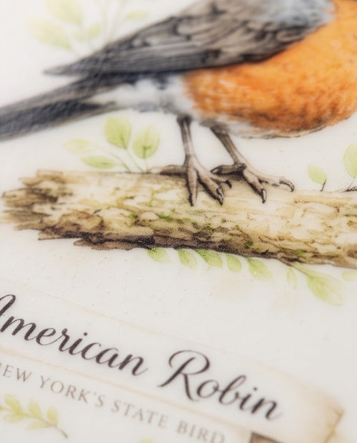 American Robin Ceramic Ornament – 3" Round New York State Bird Keepsake